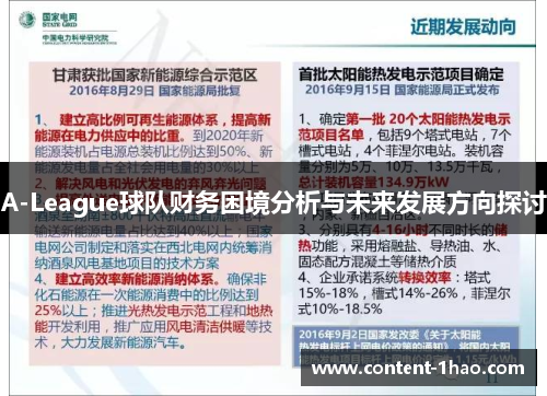 A-League球队财务困境分析与未来发展方向探讨 A-League球队财务困境分析与未来发展方向探讨