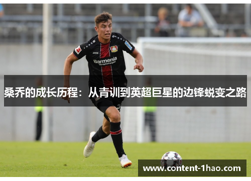 桑乔的成长历程：从青训到英超巨星的边锋蜕变之路