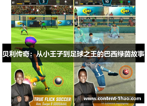 贝利传奇:从小王子到足球之王的巴西绿茵故事 贝利传奇:从小王子到足球之王的巴西绿茵故事