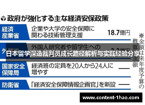 日本留学深造裁判员成长路径解析与实践经验分享 日本留学深造裁判员成长路径解析与实践经验分享