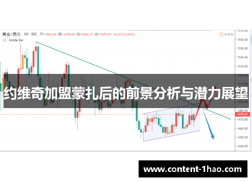 约维奇加盟蒙扎后的前景分析与潜力展望 约维奇加盟蒙扎后的前景分析与潜力展望