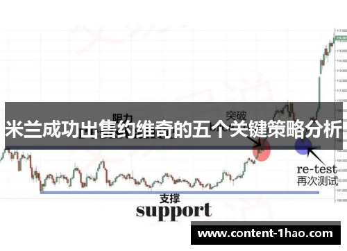米兰成功出售约维奇的五个关键策略分析 米兰成功出售约维奇的五个关键策略分析