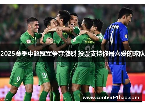 2025赛季中超冠军争夺激烈 投票支持你最喜爱的球队 2025赛季中超冠军争夺激烈 投票支持你最喜爱的球队