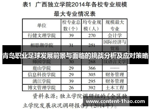 青岛职业足球发展前景与面临的挑战分析及应对策略 青岛职业足球发展前景与面临的挑战分析及应对策略