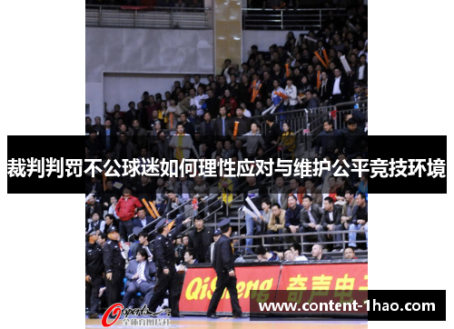 裁判判罚不公球迷如何理性应对与维护公平竞技环境