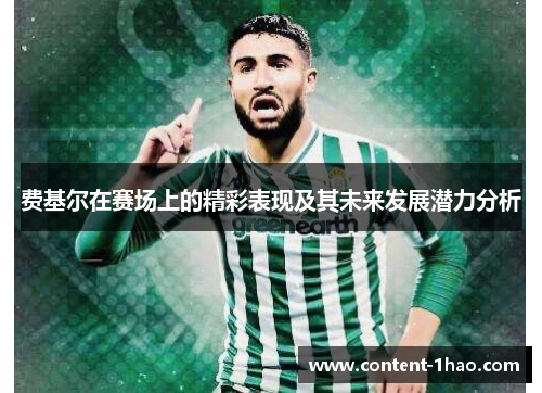 费基尔在赛场上的精彩表现及其未来发展潜力分析 费基尔在赛场上的精彩表现及其未来发展潜力分析